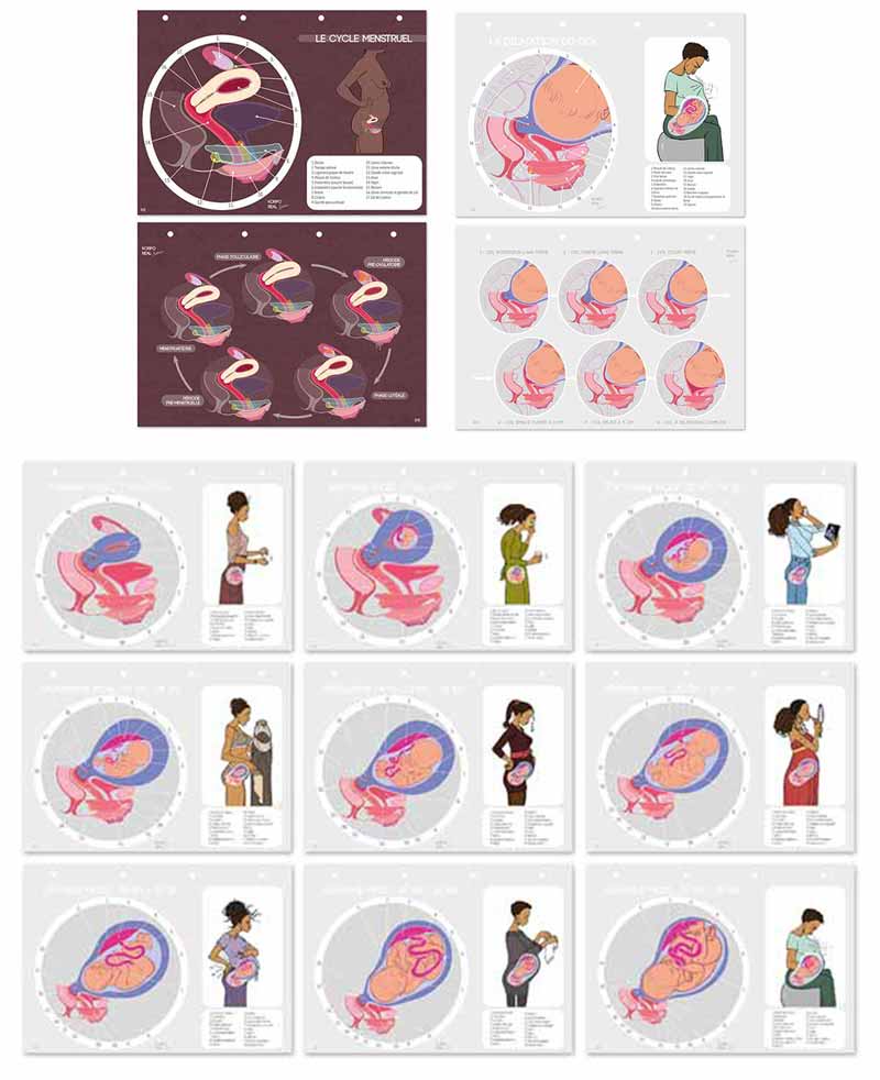Vue d’ensemble de toutes les fiches pédagogiques Korpo Real incluses dans le classeur grossesse, cycle menstruel, dilatation
