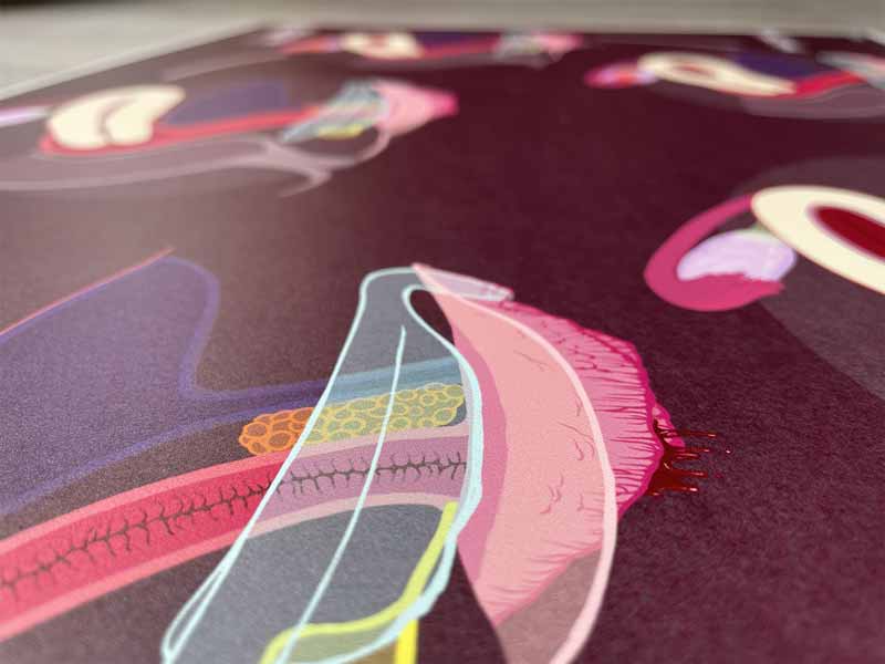 Zoom sur la seconde fiche A2 du cycle menstruel – rendu mat et finesse des illustrations pédagogiques.
