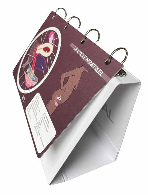 Vue d’ensemble des fiches A4 du cycle menstruel insérées dans le classeur chevalet de présentation.