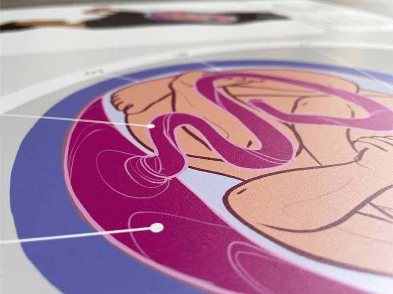 Zoom sur l’illustration du huitième mois de grossesse imprimée sur poster A2 – rendu des couleurs et précision graphique.