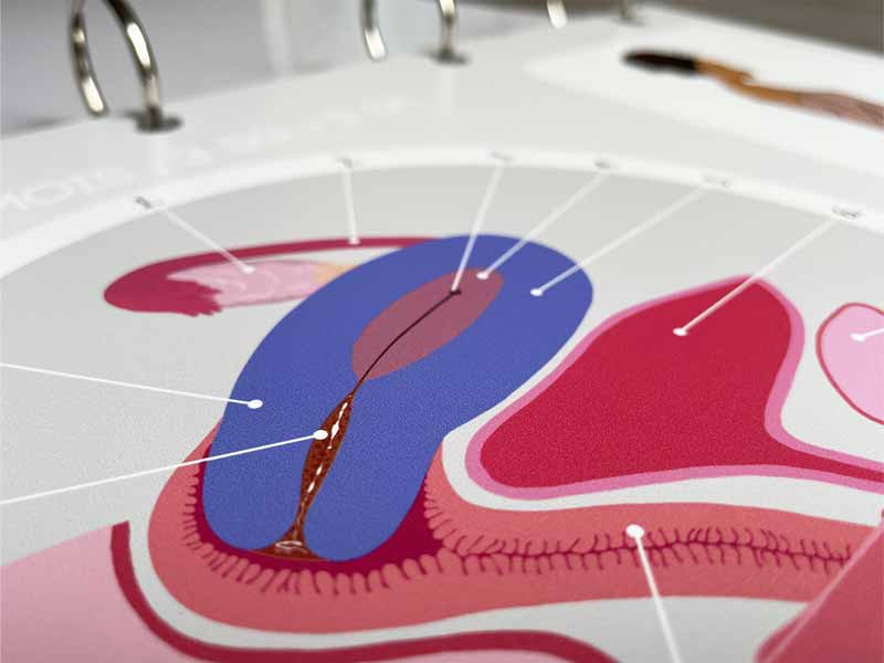 Fiche A4 perforée du premier mois de grossesse présentée à plat dans le classeur.