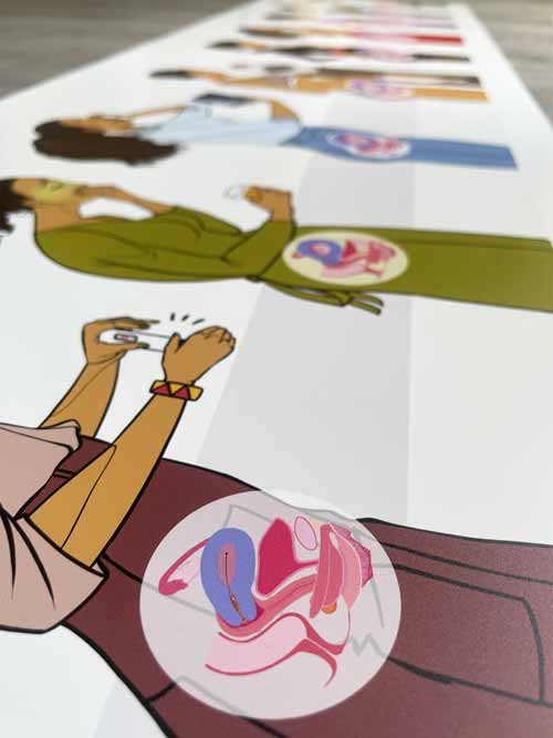 Zoom sur le poster en PVC souple de la planche de la grossesse, montrant finesse des détails et qualité d’impression