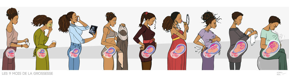 Frise anatomiques des 9 mois de la grossesse